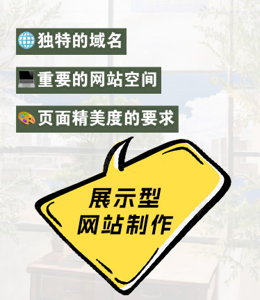 展示型网站建设